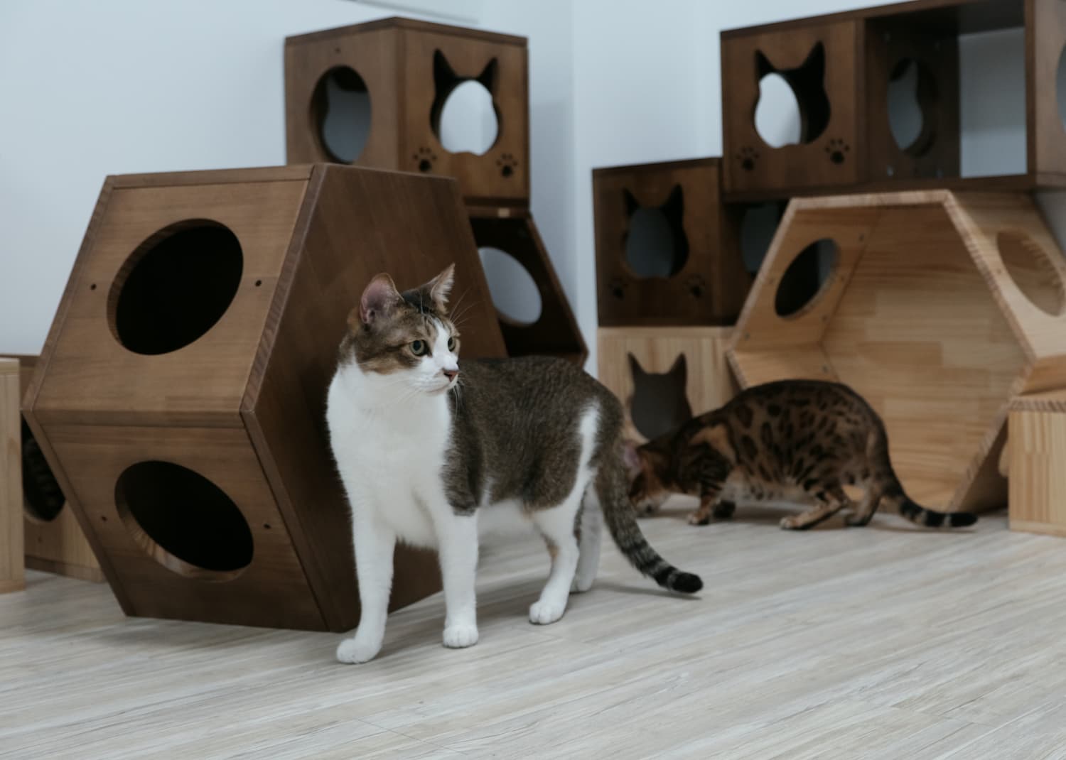 YUMU 裕實木生活工廠